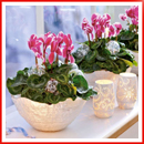 home-flowers-in-new-year-decorating02