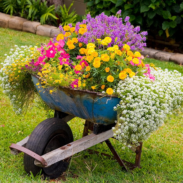 garden-flowers-mix-in-container