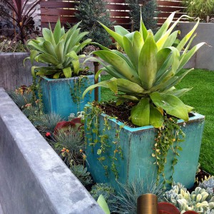 creative-use-large-pots-and-containers-in-garden12-2