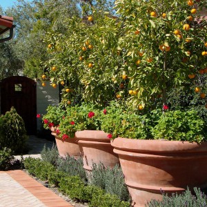 creative-use-large-pots-and-containers-in-garden18-2