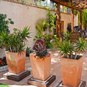 creative-use-large-pots-and-containers-in-garden24-1