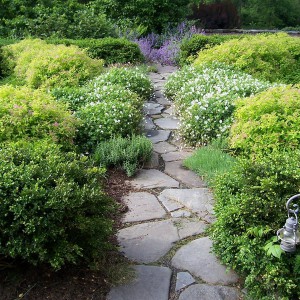 garden-path-good-looking-ideas1-1
