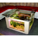 aquarium-coffee-table2.jpg