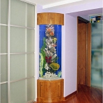 aquarium-in-home-interior12.jpg
