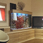 aquarium-in-home-interior13.jpg