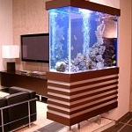 aquarium-in-home-interior22.jpg
