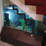 aquarium-in-home-interior33.jpg