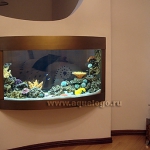 aquarium-in-home-interior39.jpg