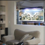 aquarium-in-home-interior40.jpg