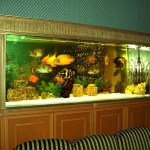 aquarium-in-traditional-home4.jpg