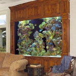 aquarium-in-traditional-home5.jpg