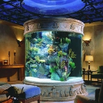 aquarium-in-traditional-home8.jpg
