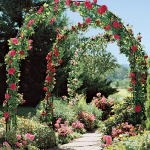 arbor-and-archway-in-garden1-2.jpg
