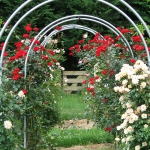 arbor-and-archway-in-garden1-23.jpg