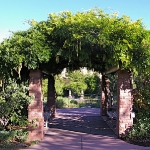 arbor-and-archway-in-garden2-3.jpg