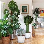 best-ways-to-use-livingroom-corners1-4