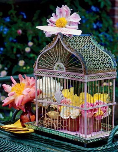    bird-cage-decoration