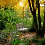 garden-to-ideal-relax-best-design-ideas5-2