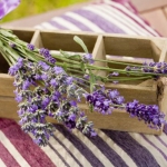 lavender-home-decorating-ideas2-1.jpg