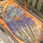 lavender-home-decorating-ideas2-2.jpg