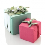new-year-gift-wrapping-themes4-6.jpg