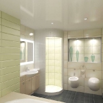project49-green-bathroom19-1.jpg