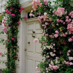 roses-in-garden-entrance1.jpg