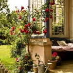 roses-in-garden-entrance2.jpg