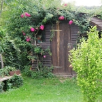 roses-in-garden-entrance3.jpg