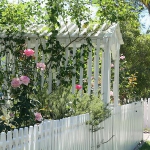 roses-in-garden-inspiration2-9.jpg