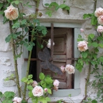 roses-in-garden-inspiration4-1.jpg