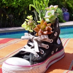 shoes-container-garden4-1.jpg