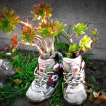shoes-container-garden4-2.jpg