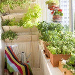 smart-russian-balcony-contest-by-ikea-plants2.jpg