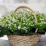 spring-decor-ideas-from-lily-of-the-valley-vases-style1-3