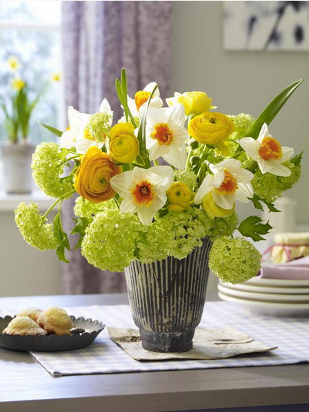 http://www.design-remont.info/wp-content/uploads/gallery/spring-flowers-new-ideas-narcissus/spring-flowers-new-ideas-narcissus7.jpg