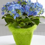summer-flowers-vase10.jpg