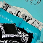 turquoise-and-black-in-bedroom1.jpg