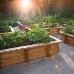 vegetable-garden-ideas1-1.jpg
