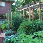 vegetable-garden-ideas1-12.jpg