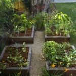 vegetable-garden-ideas1-8.jpg