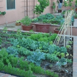 vegetable-garden-ideas4-2.jpg