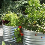 vegetable-garden-ideas5-1.jpg