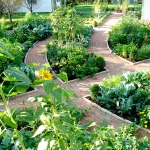 vegetable-garden-ideas7-3.jpg