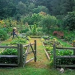 vegetable-garden-paths-ideas9.jpg