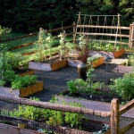 vegetable-garden-fence-ideas2.jpg