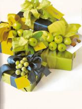 gift-wrapping-book19