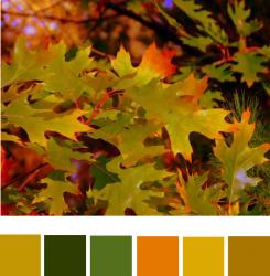 fall-palette5