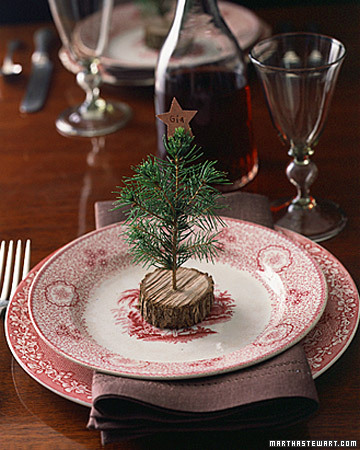 http://www.design-remont.info/wp-content/uploads/2009/12/christmas-table-detail-natural3.jpg