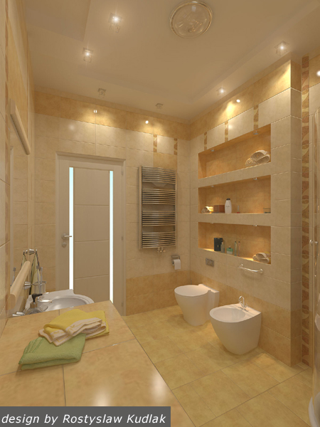 project-bathroom-constructions2